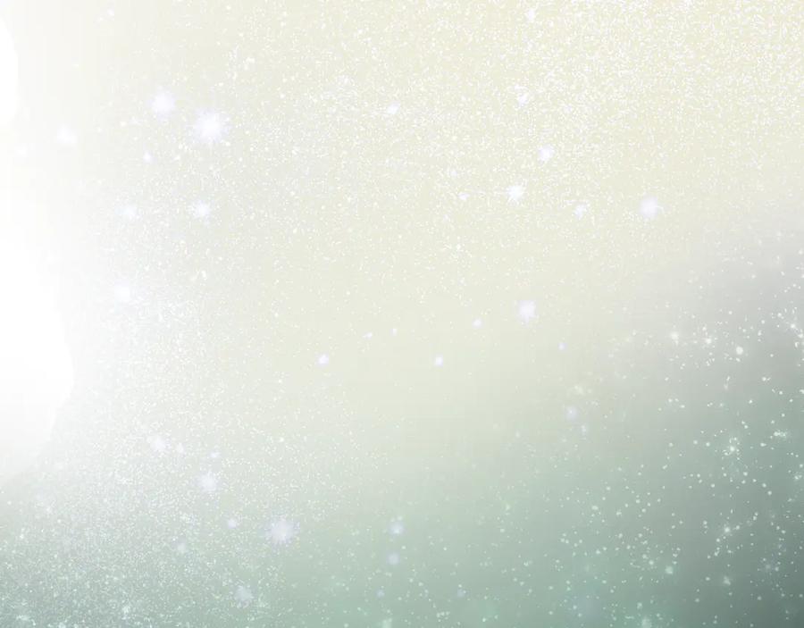 第338页