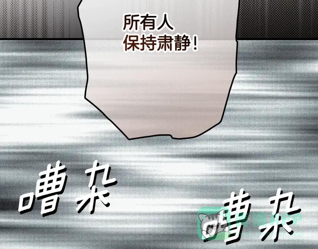 第216页