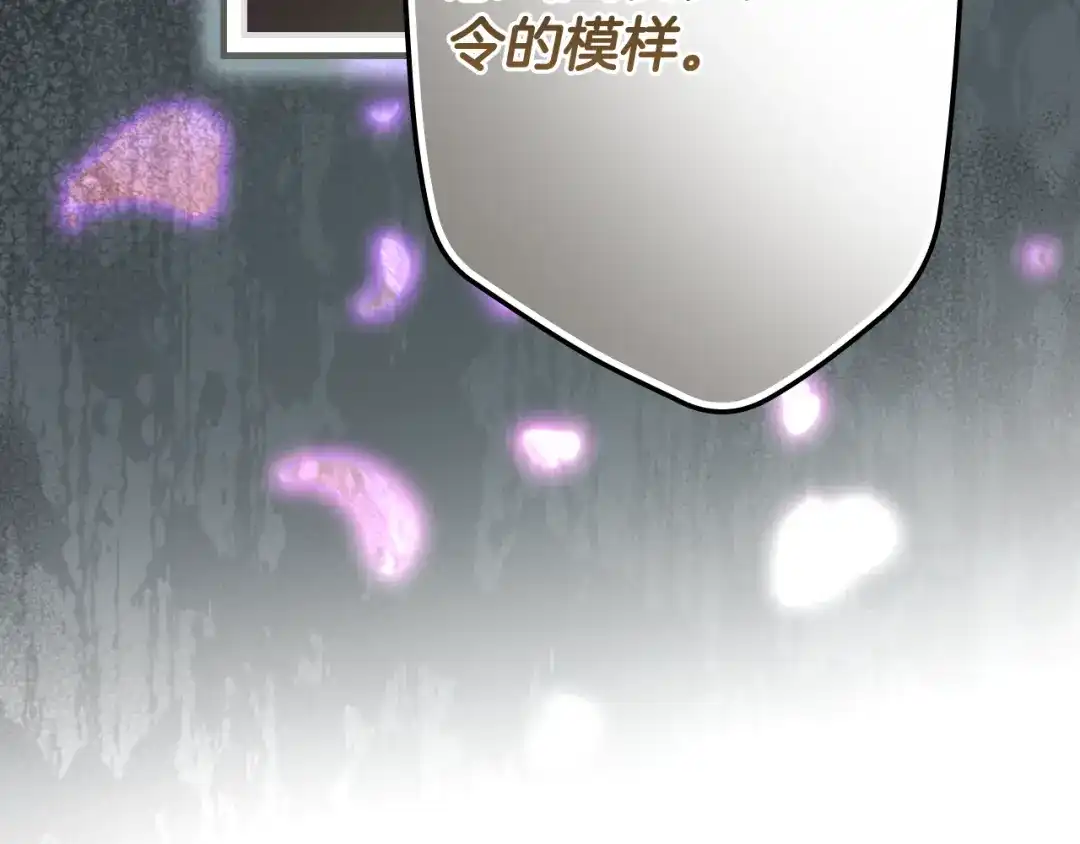 第204页