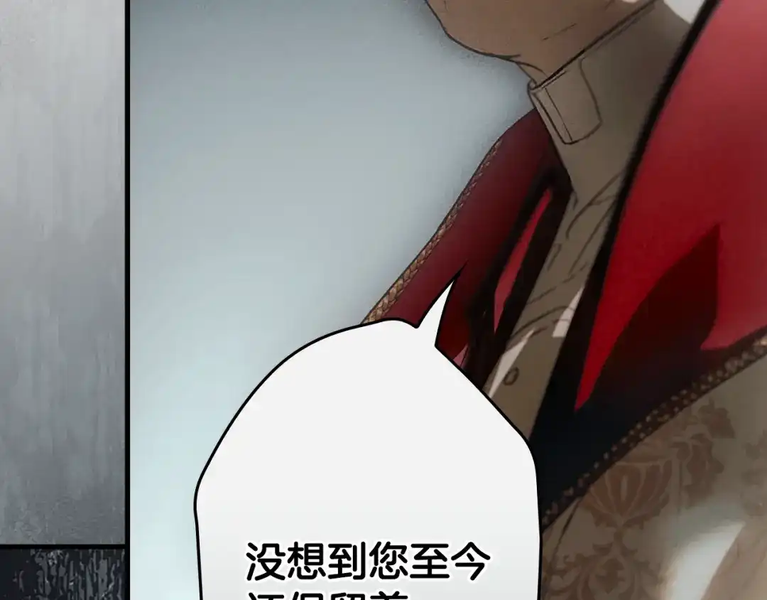 第207页