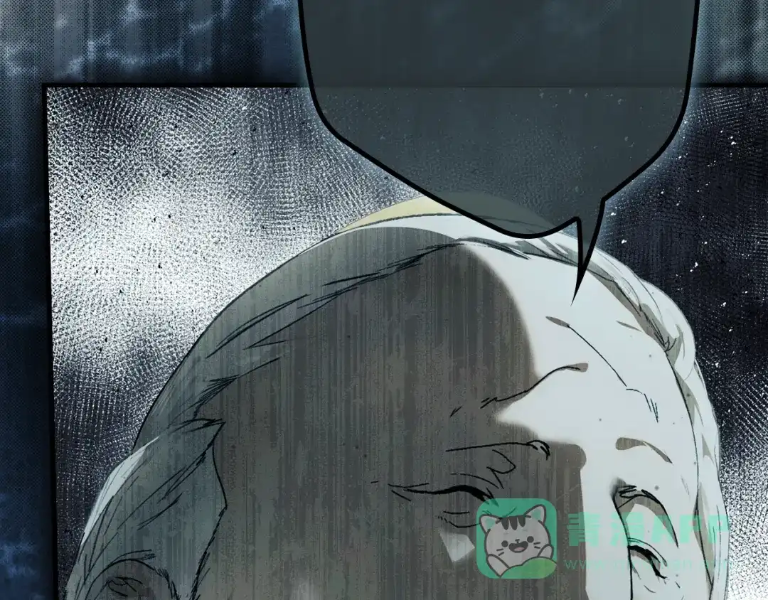 第246页