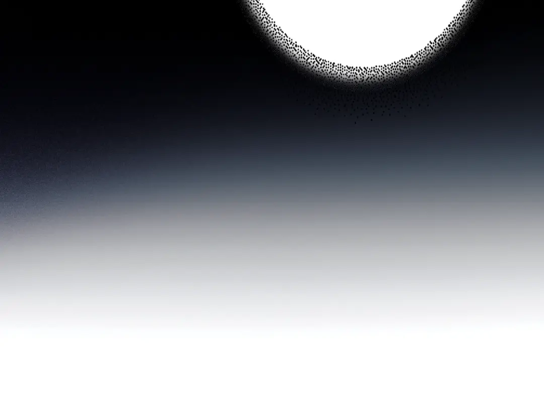 第262页