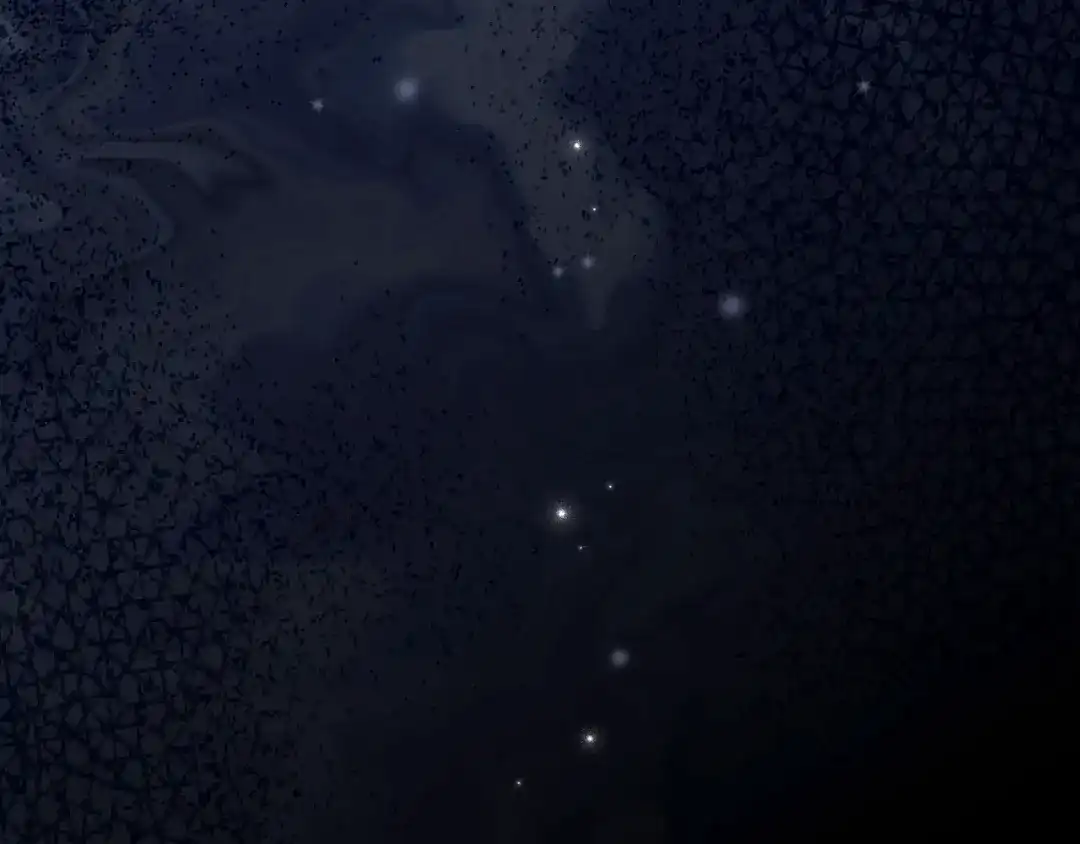 第223页