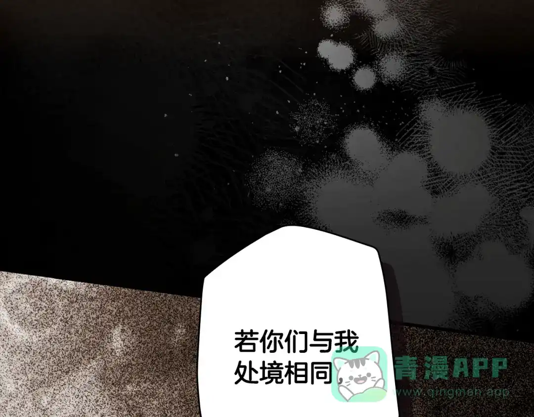 第251页