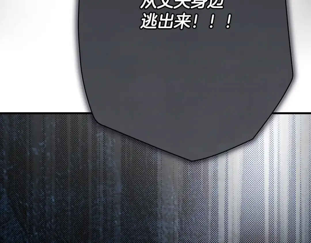 第238页