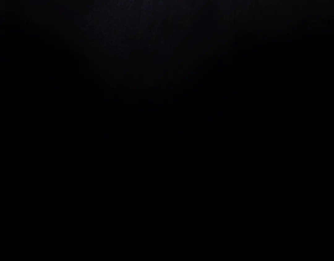 第273页