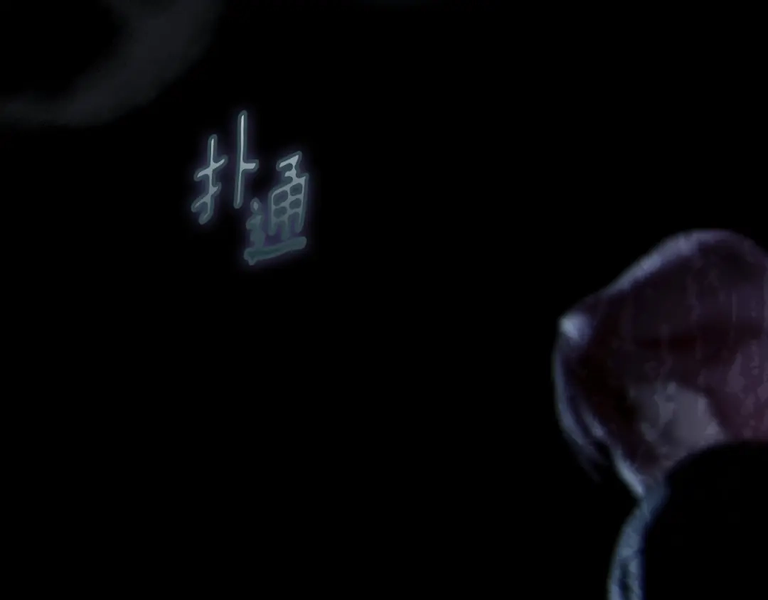 第218页