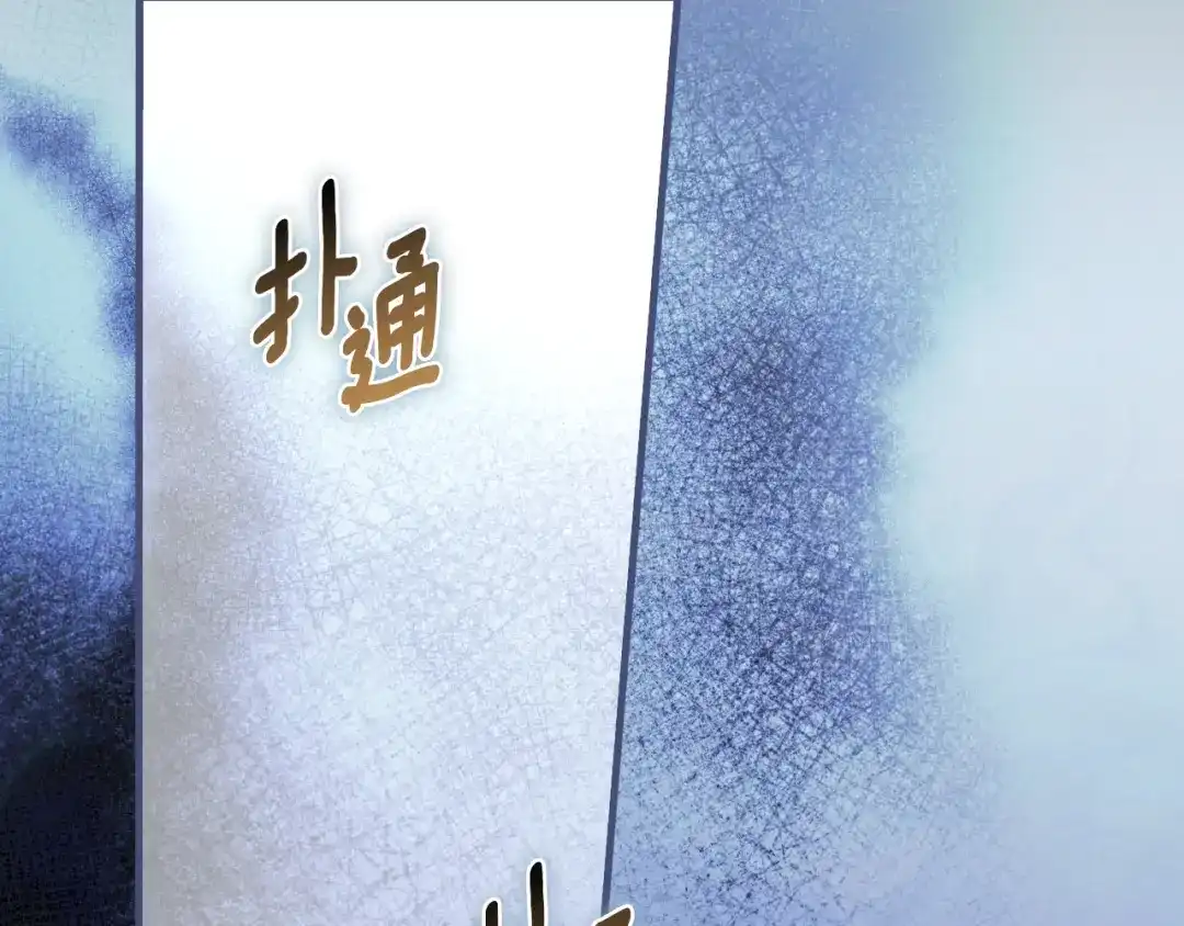 第223页