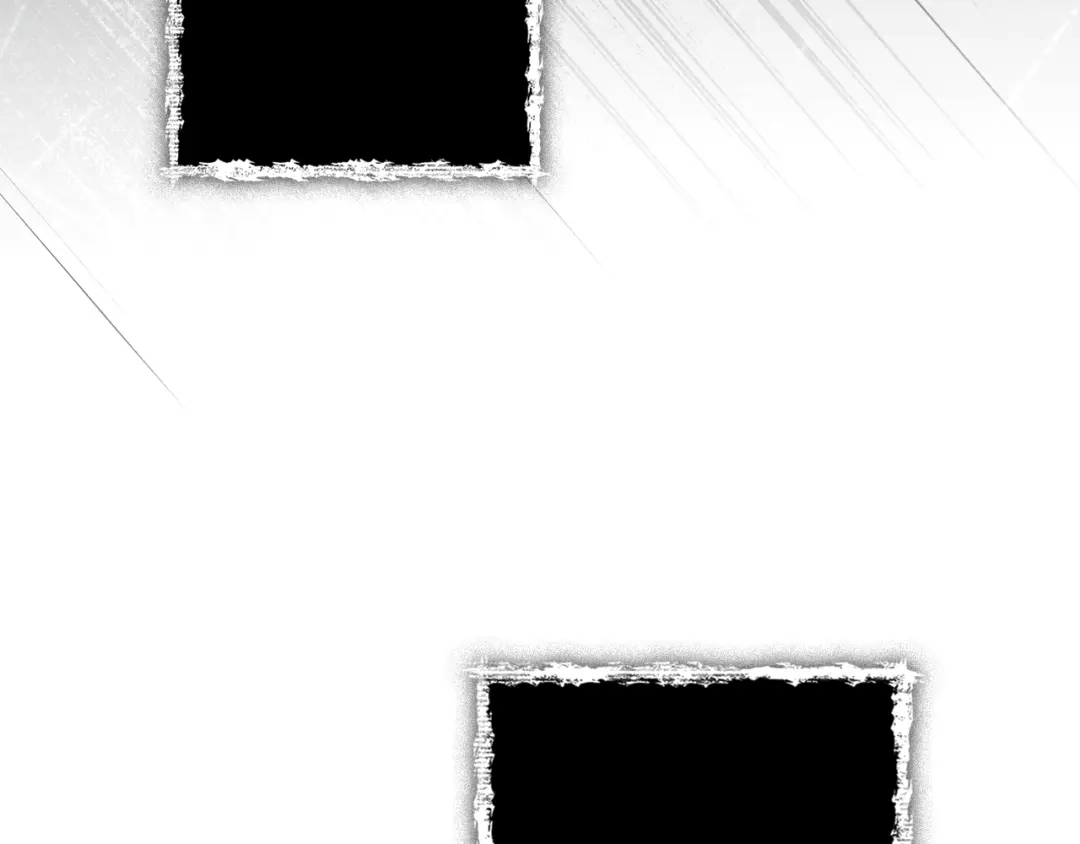 第242页