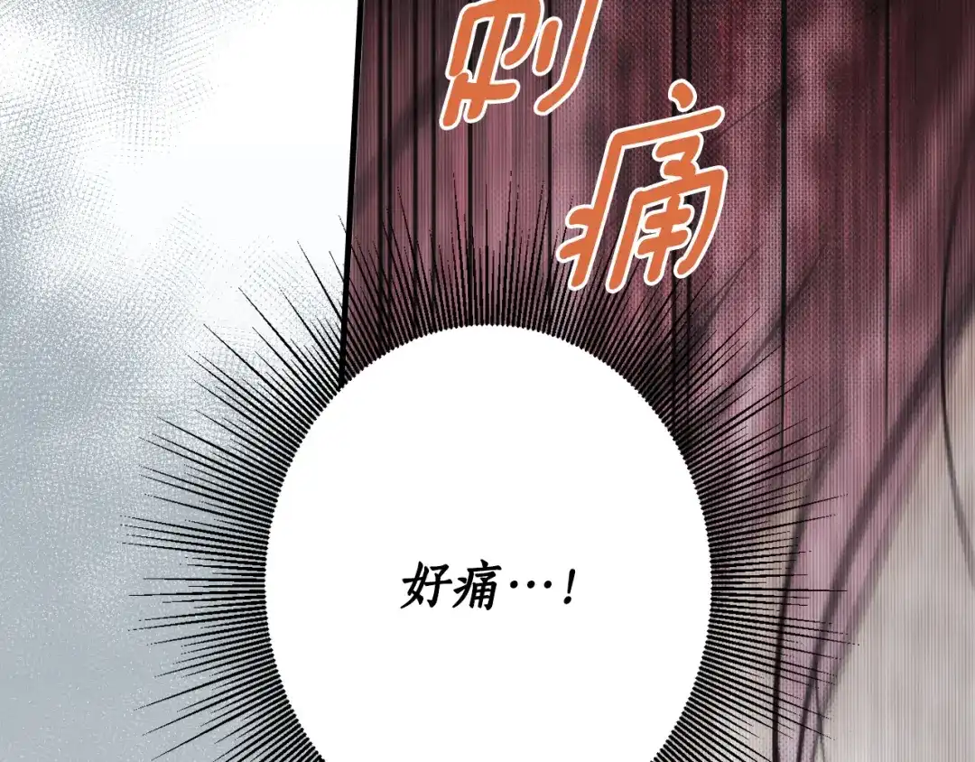 第257页