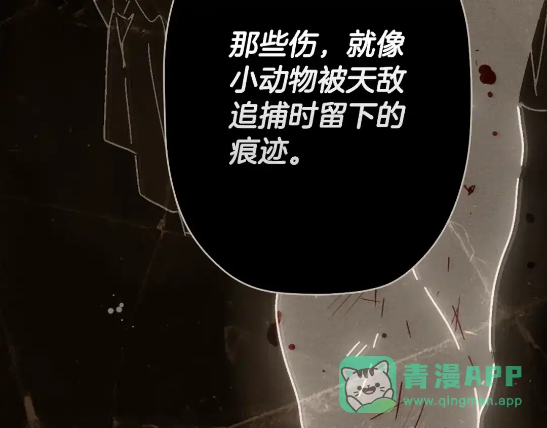 第181页