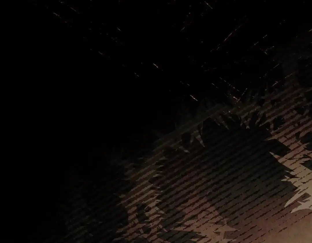 第185页