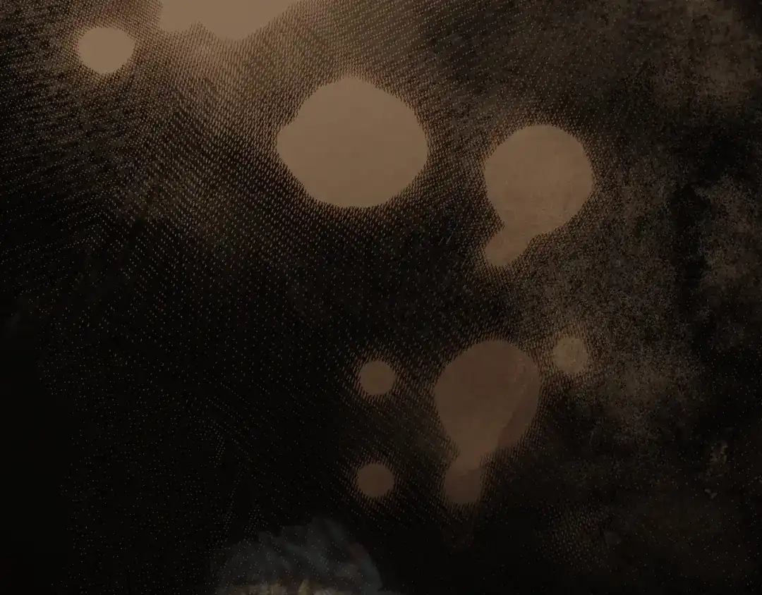 第212页