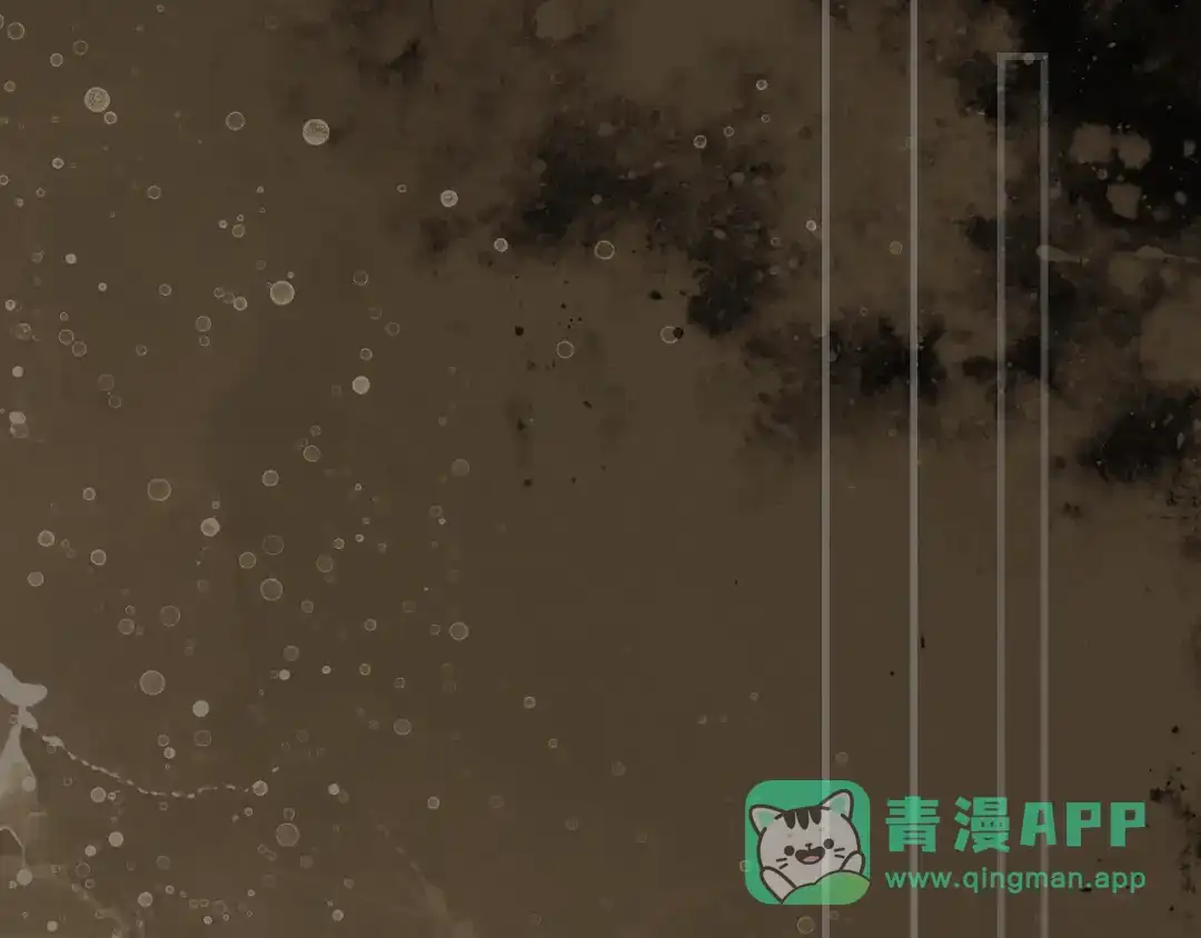 第216页