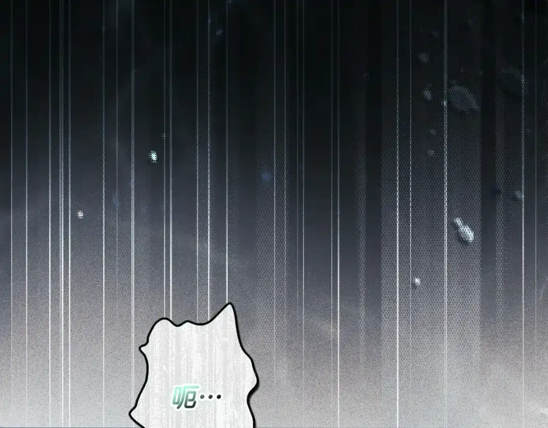 第204页