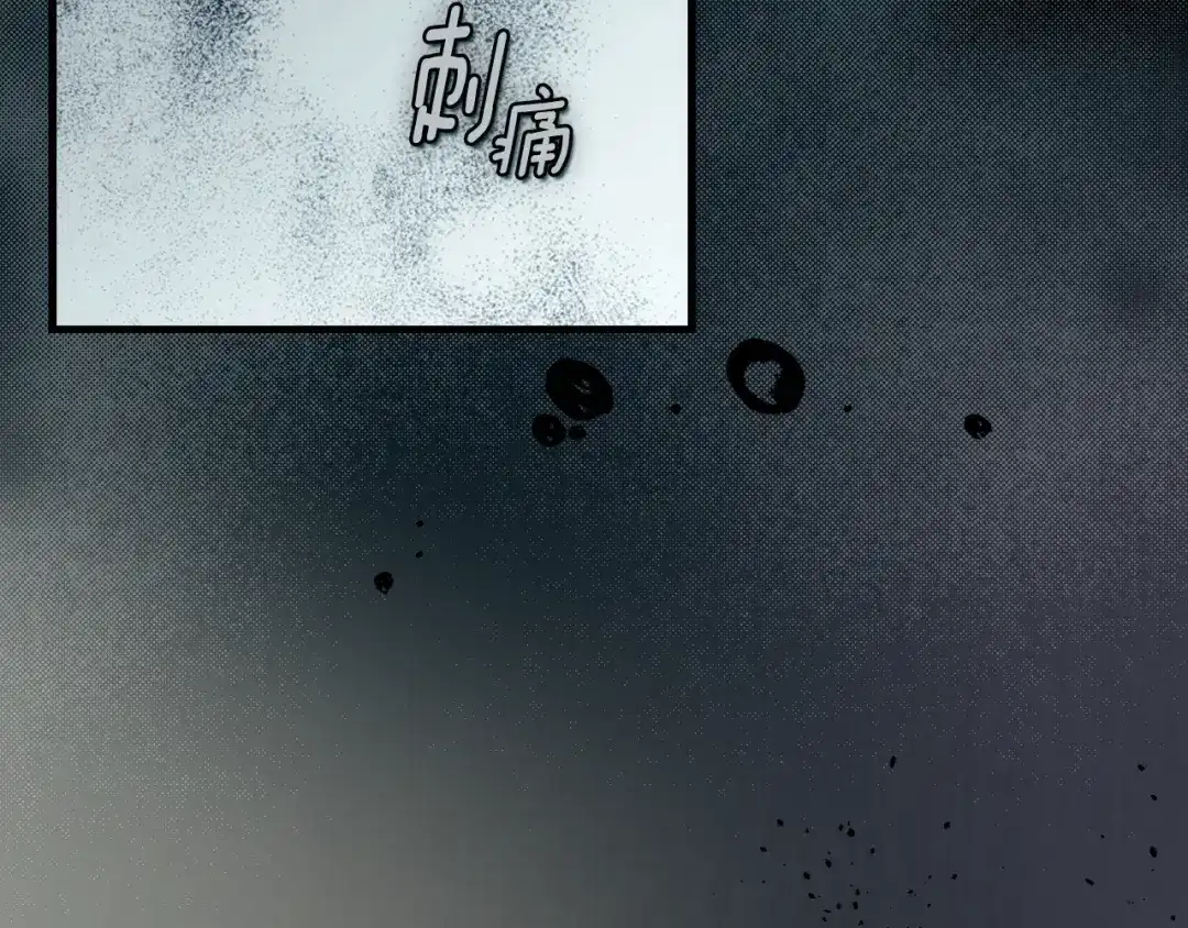 第276页