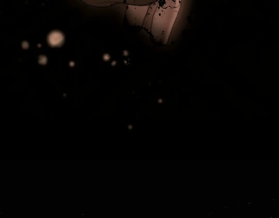第284页