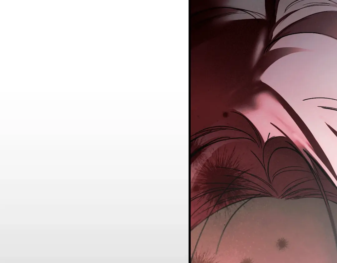 第291页