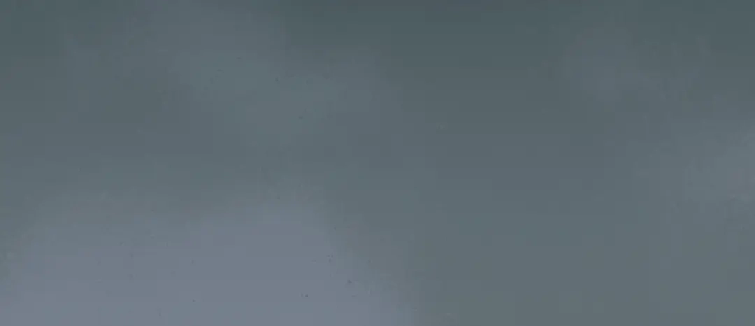 第300页