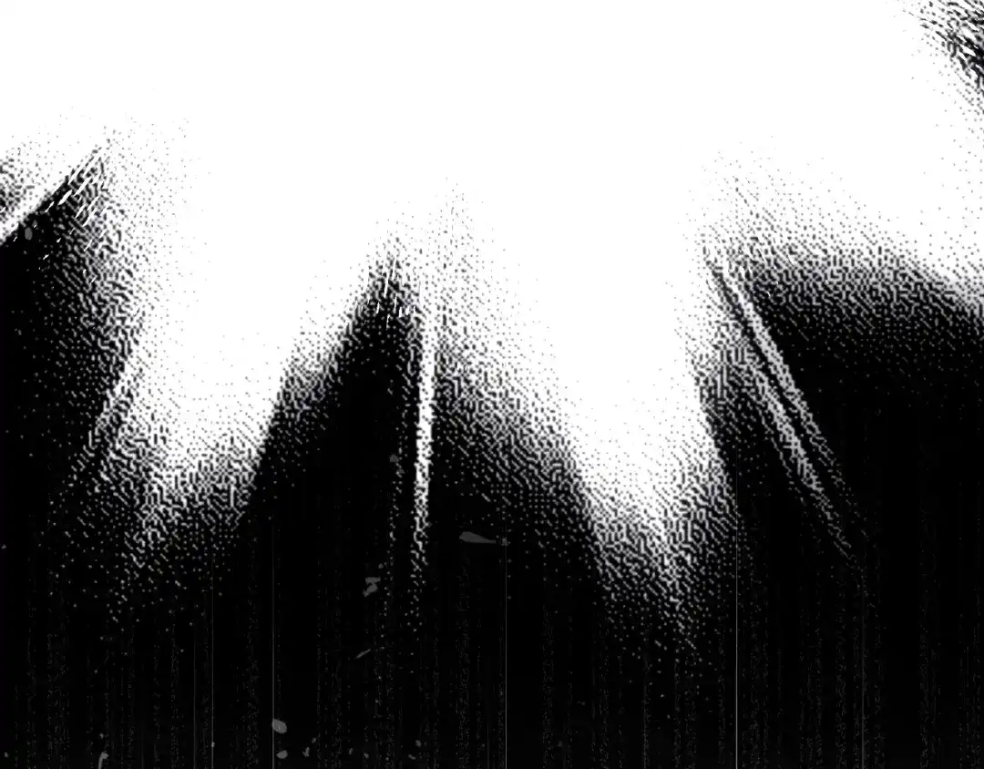 第231页