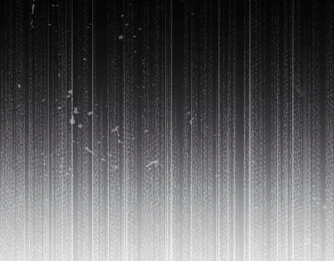 第232页