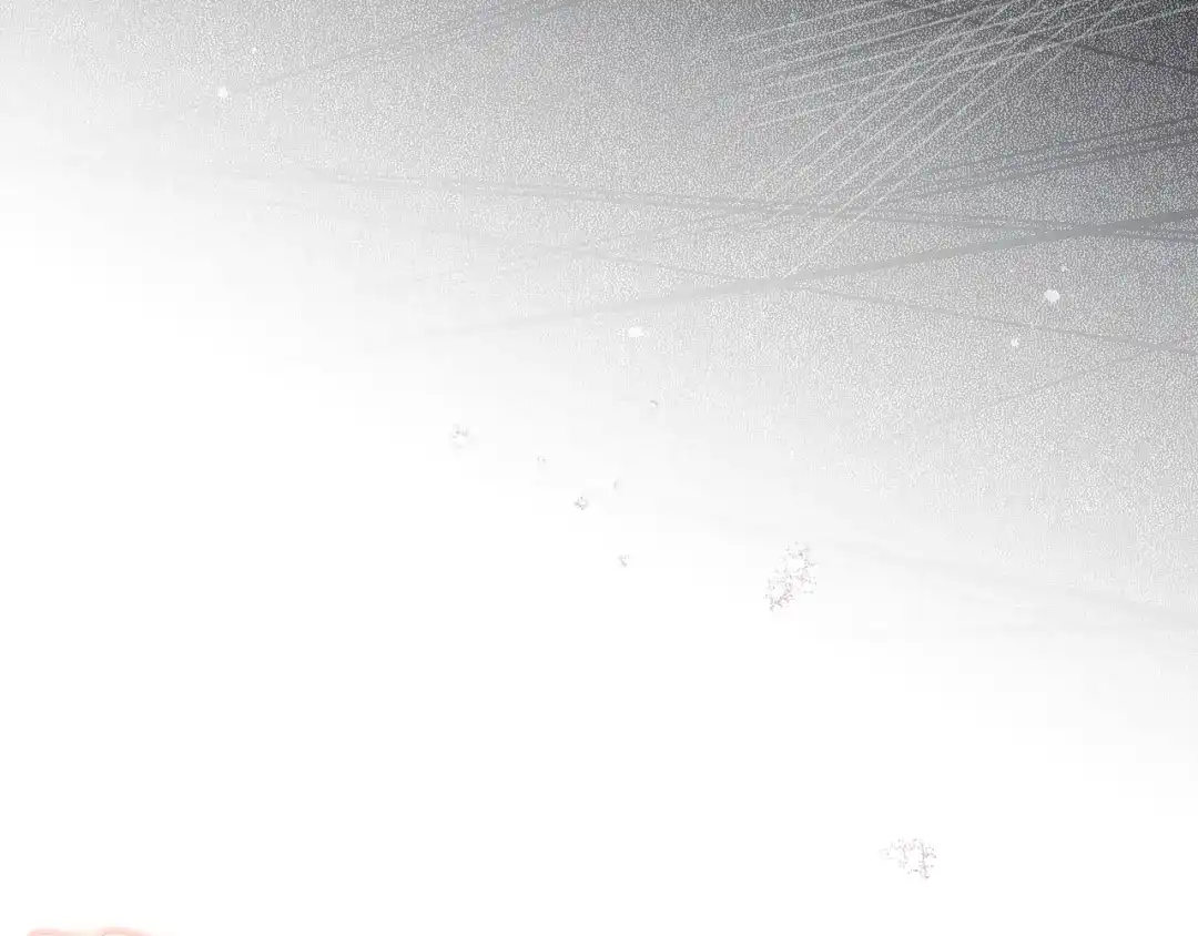 第239页