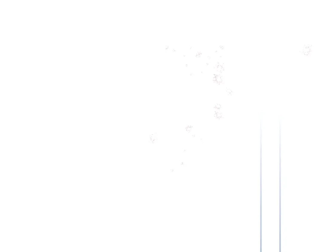 第241页