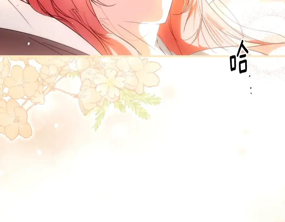 第213页