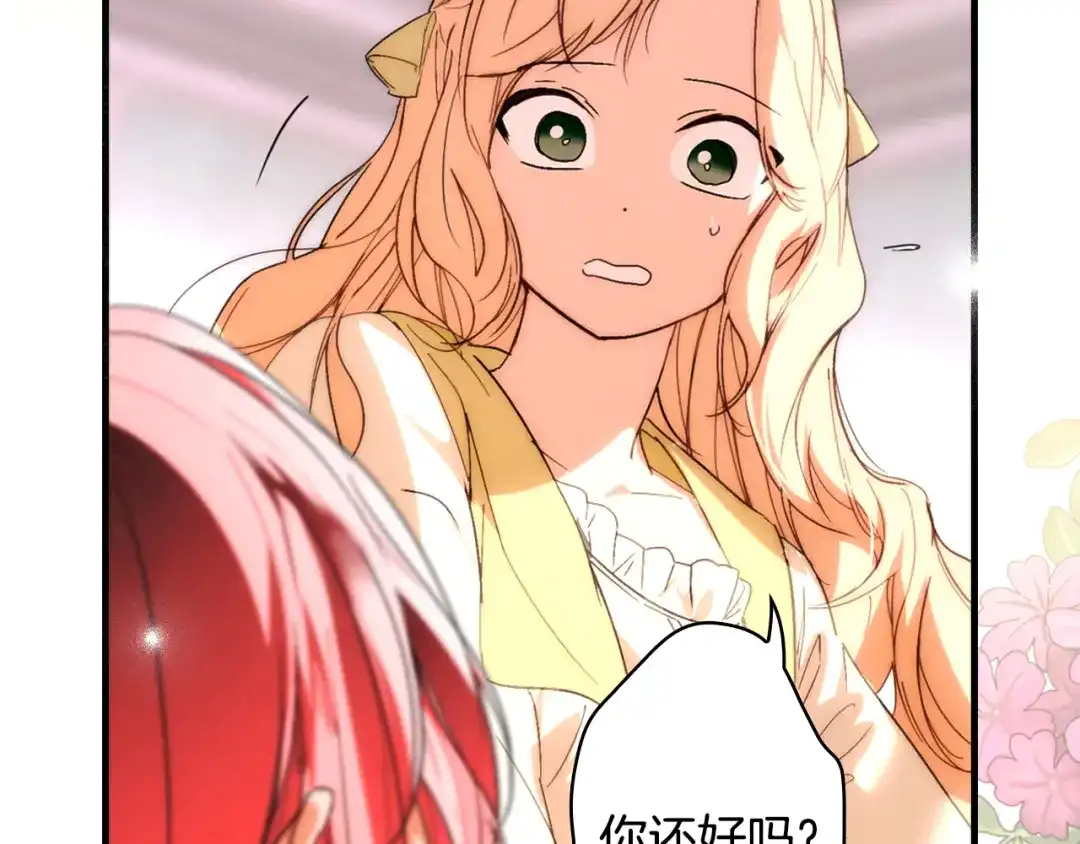 第215页