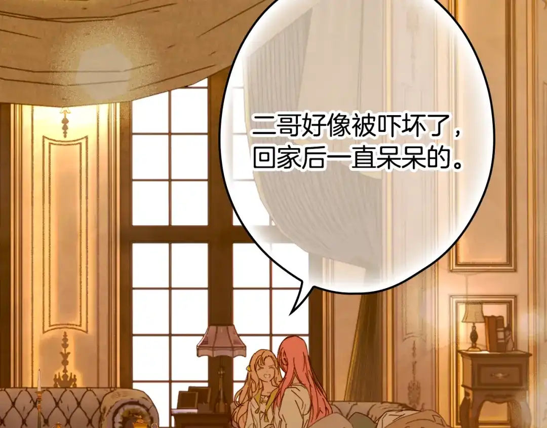 第242页