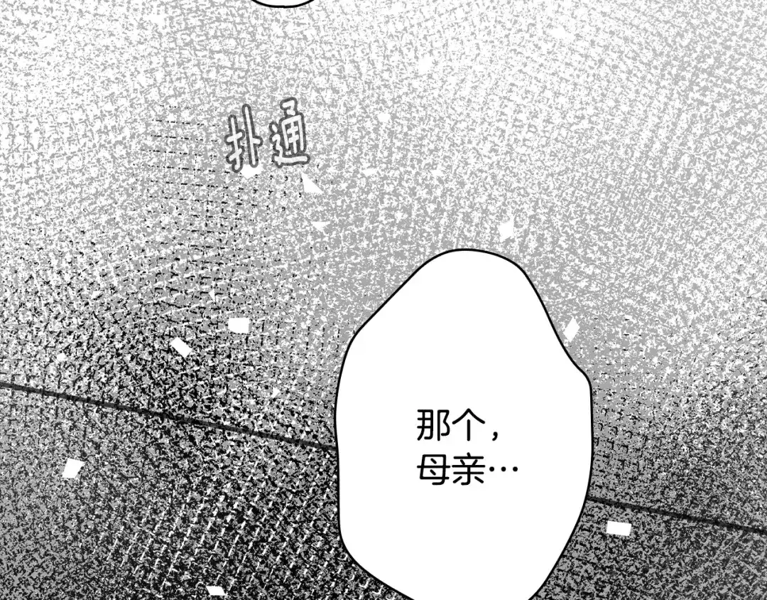 第258页