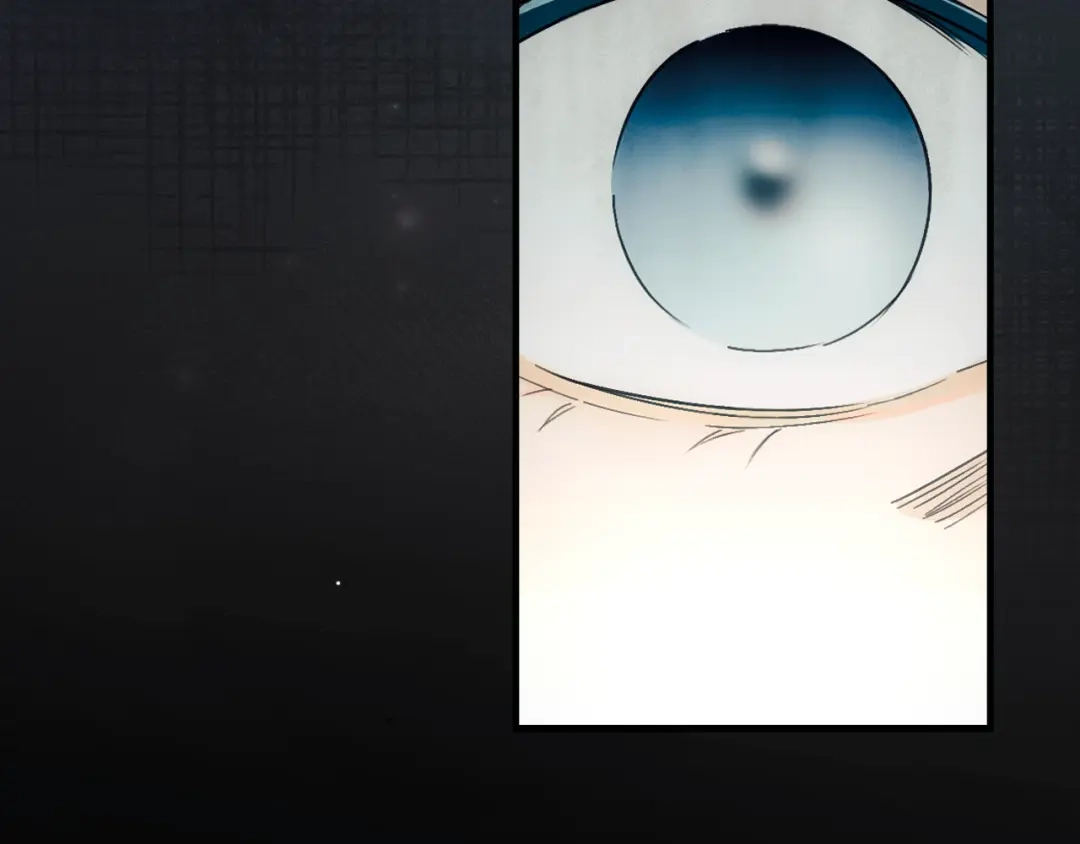 第206页
