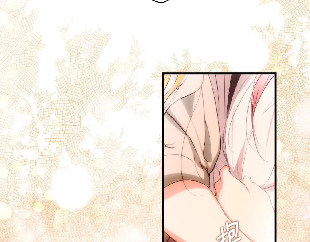 第231页