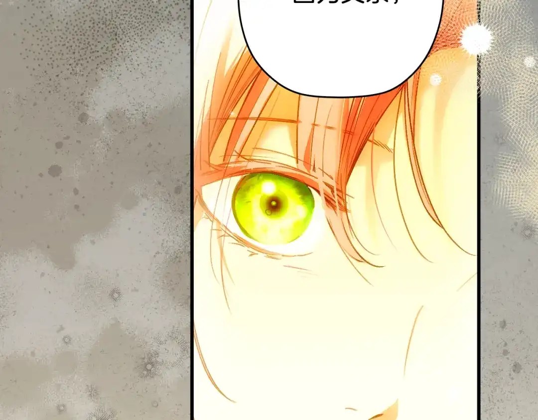 第238页