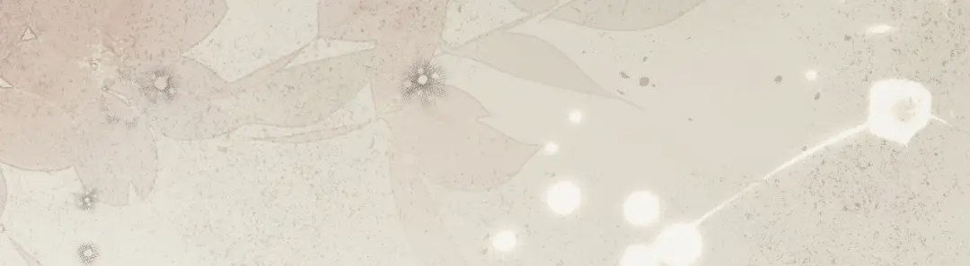 第240页