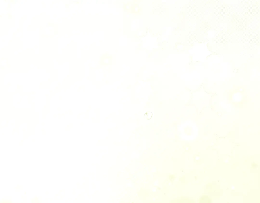 第298页