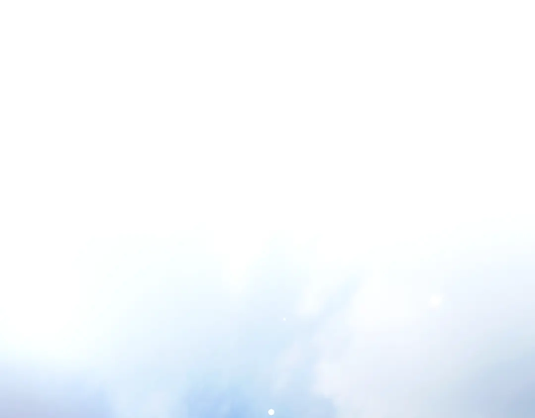 第239页