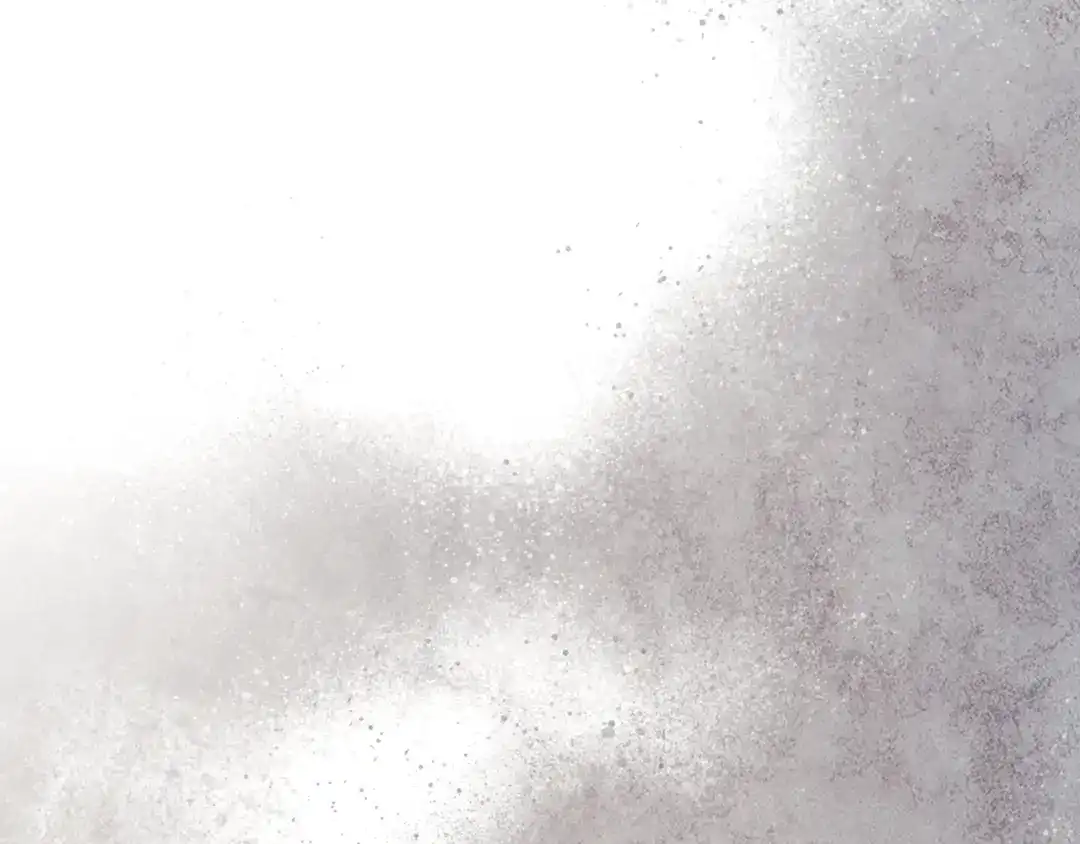 第252页