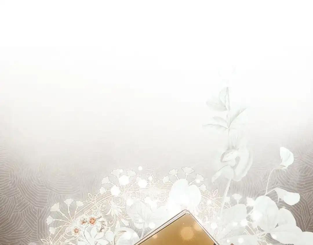 第223页