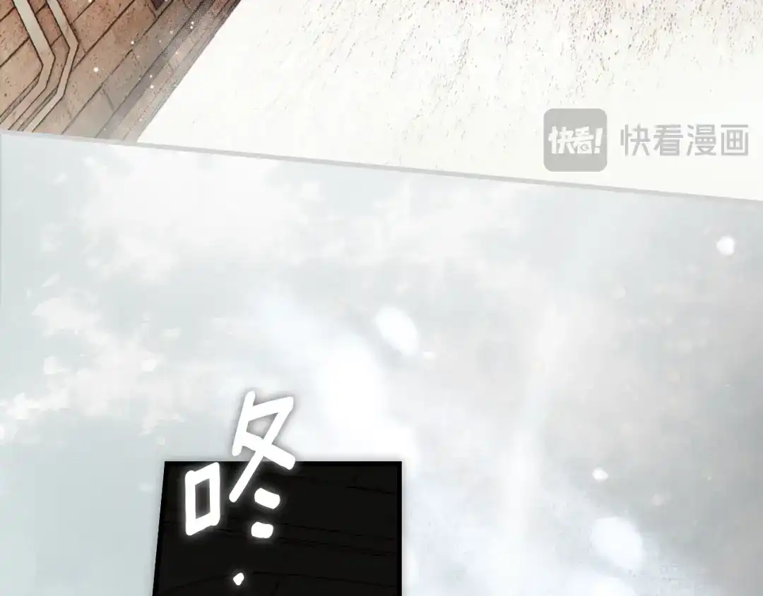 第258页