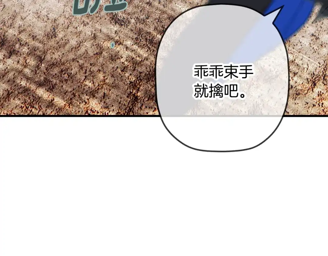 第223页