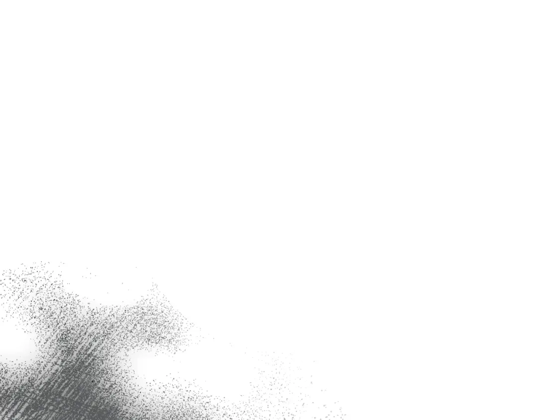 第204页