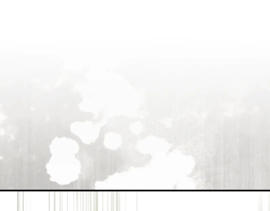 第238页