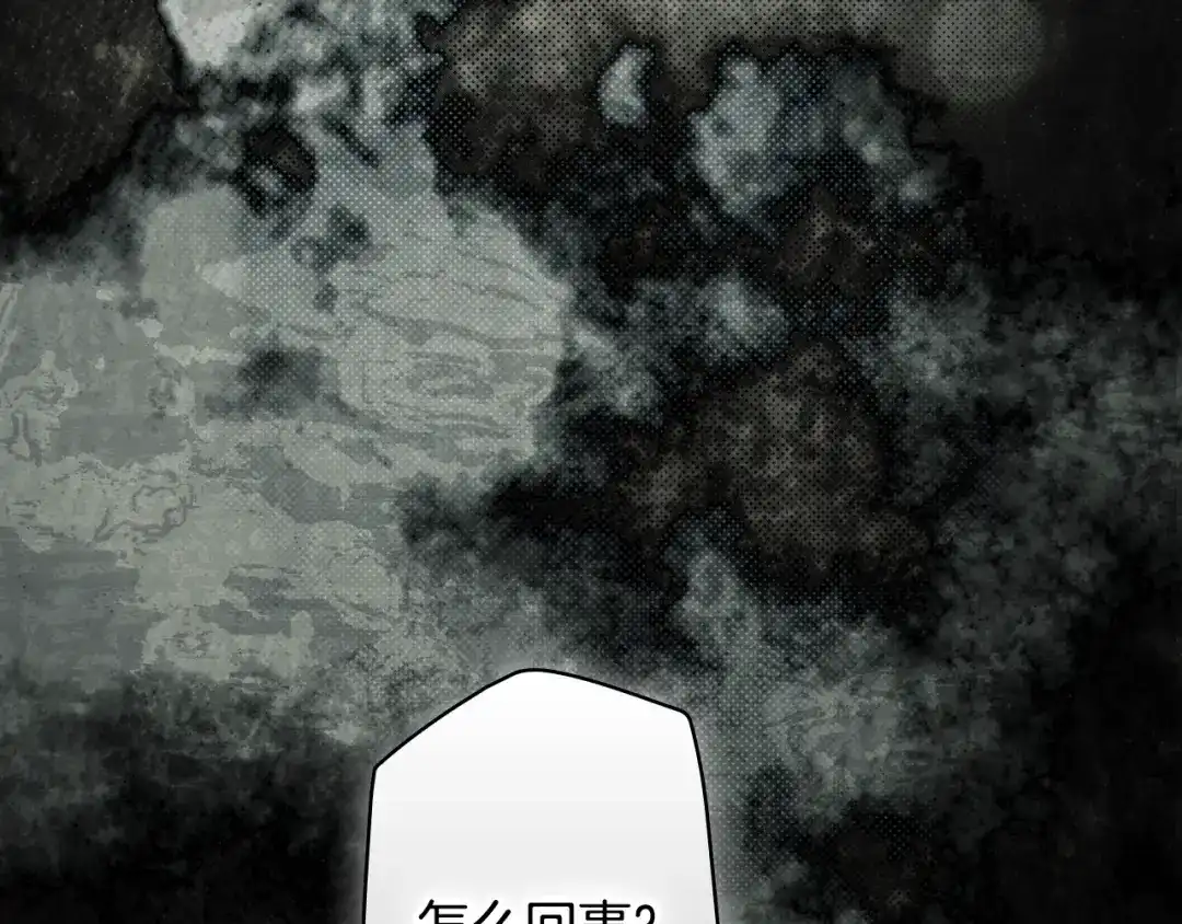 第243页