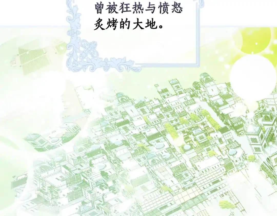 第216页