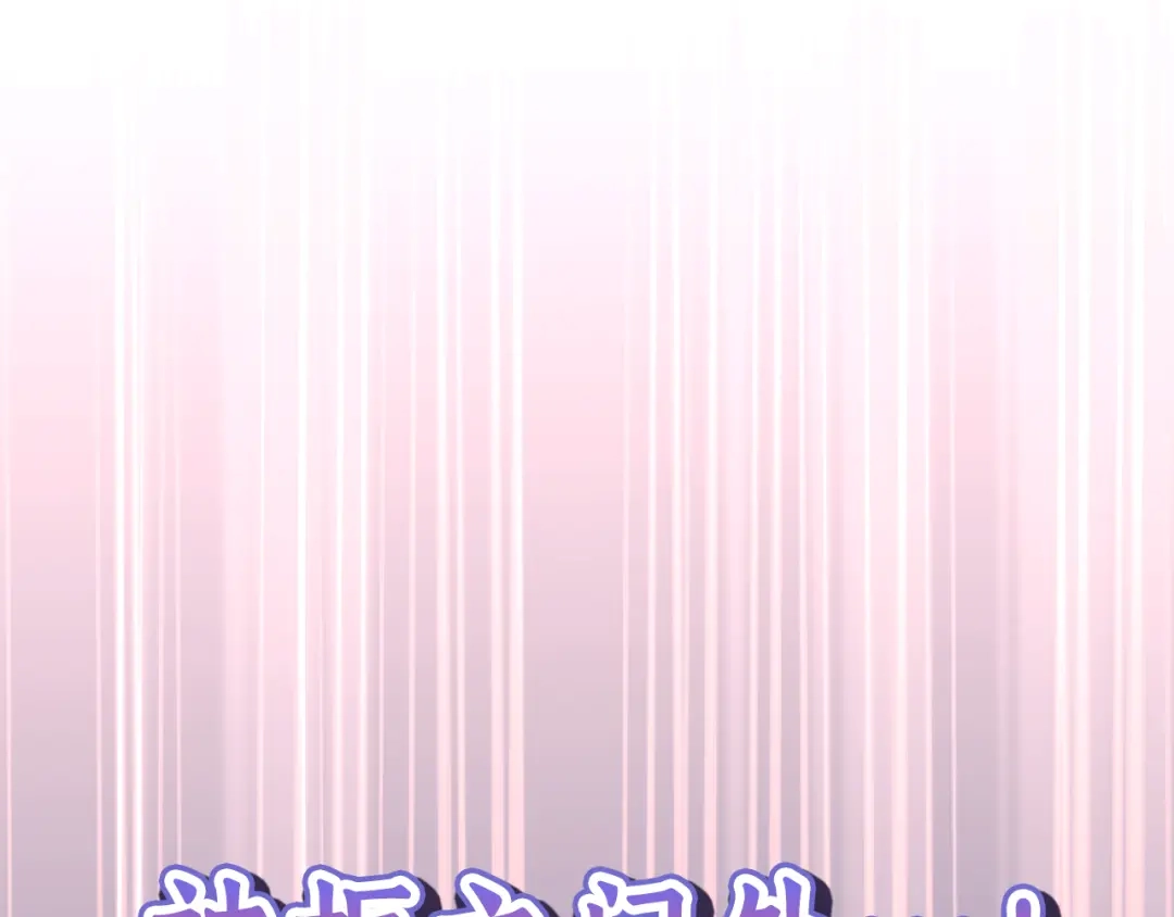 第255页