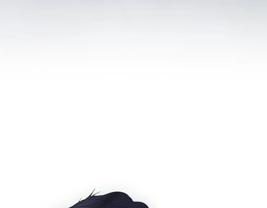 第235页