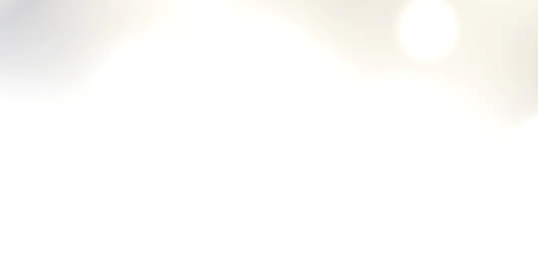 第223页