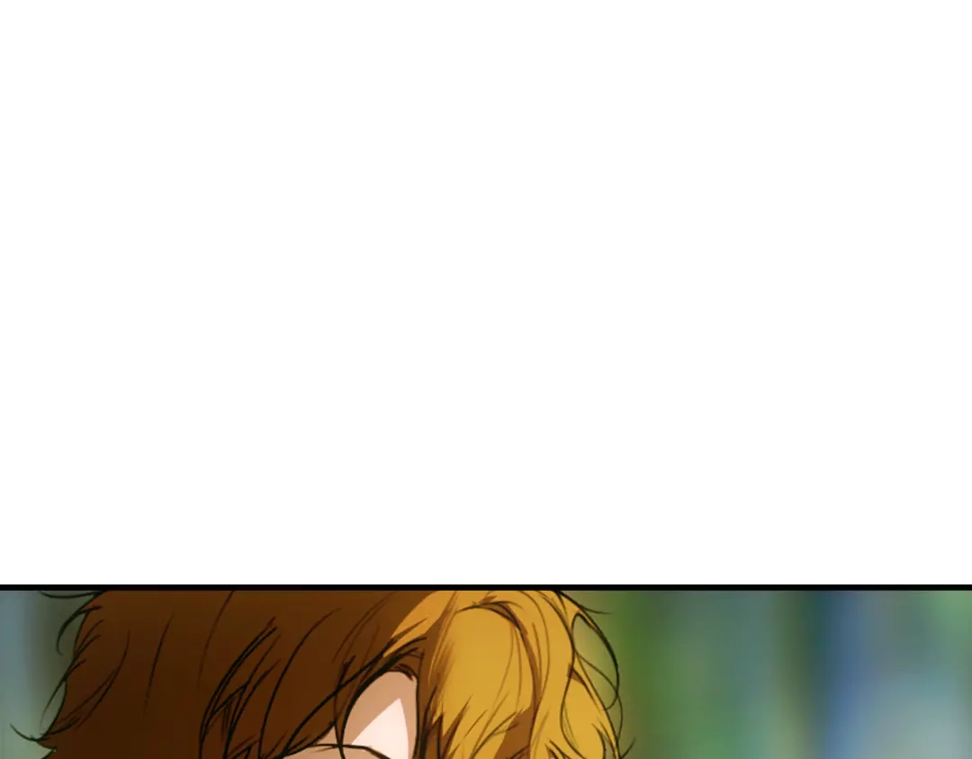 第242页