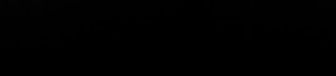 第221页